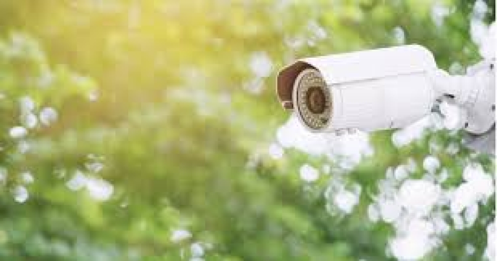 Ultimate Guide to Home Security Cameras: Choosing the Right Surveillance System Gadjetree